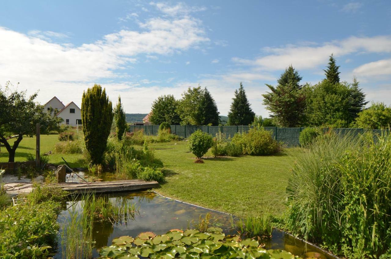 Gite Cigogne Odratzheim Dış mekan fotoğraf